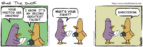 What the duck Comic strip on narcissism